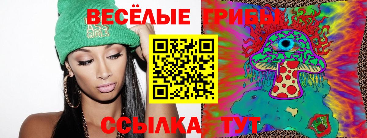 Псилоцибиновые грибы GOLDEN TEACHER  Вход с VPN  Ишимбай 